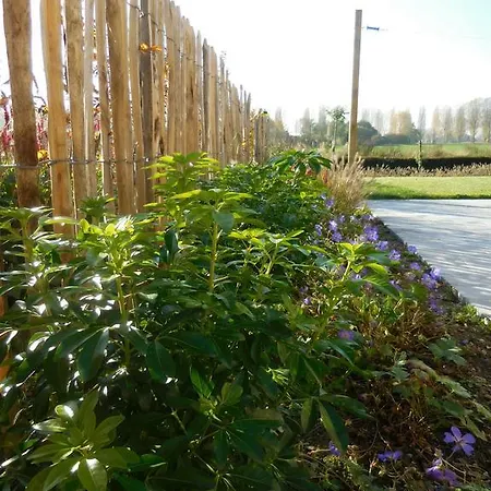 Сasa de vacaciones Terre D'o Pecq