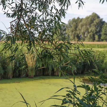 Сasa de vacaciones Terre D'o *