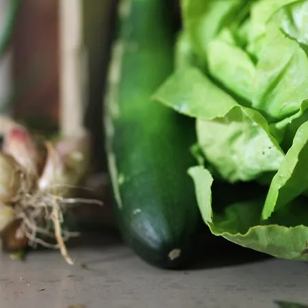 Сasa de vacaciones Terre D'o Pecq