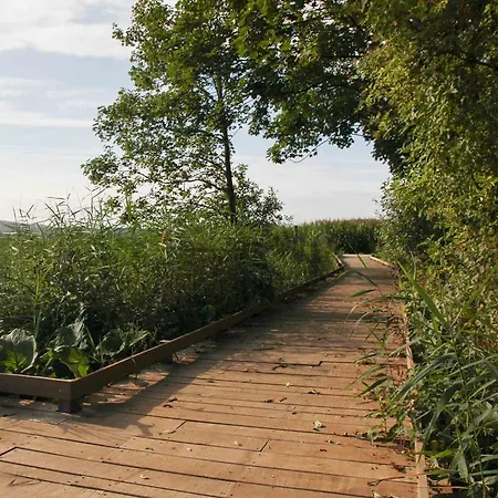 Terre D'ô