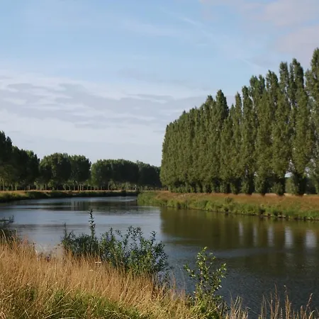 Terre D'ô