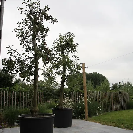 Сasa de vacaciones Terre D'o