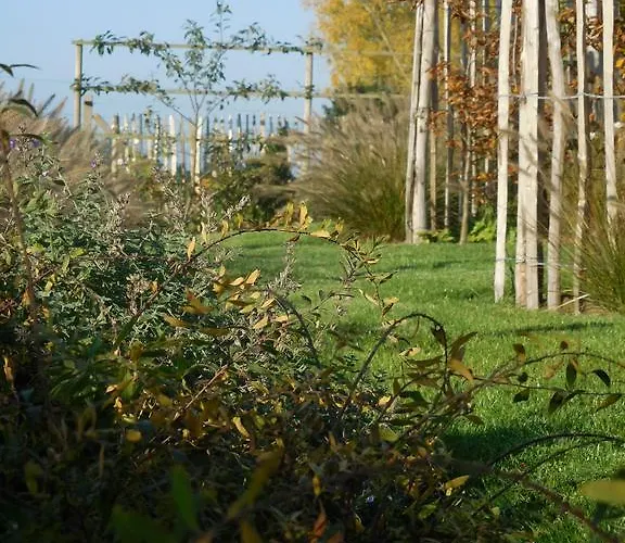 Terre D'o Pecq