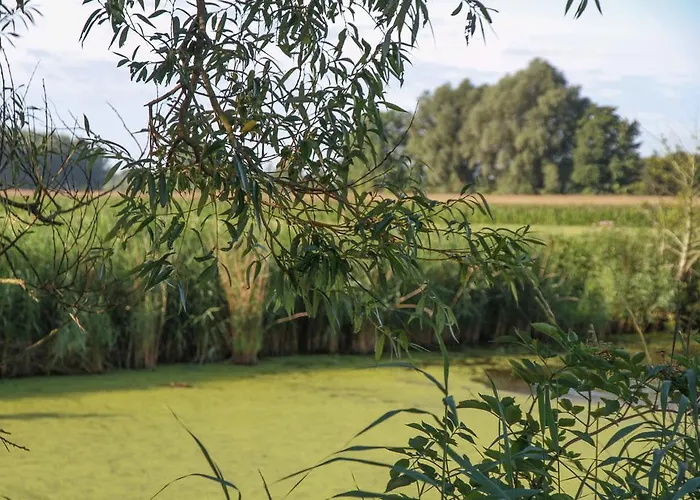 Feriehus Terre D'o *