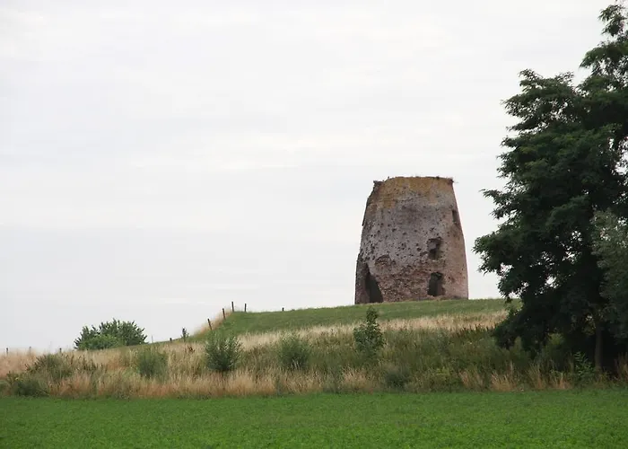 Terre D'o