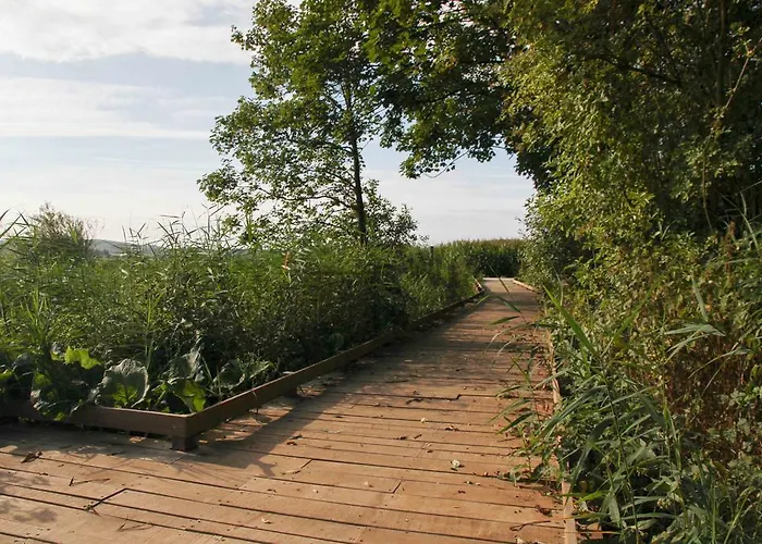 Terre D'o