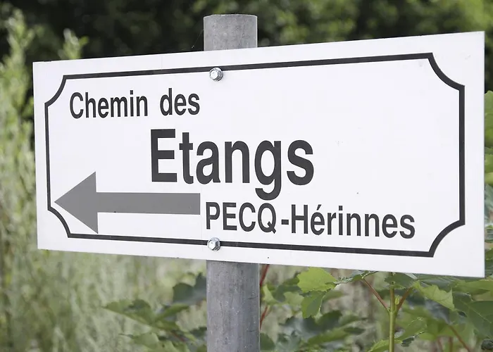 Terre D'o